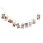 Multi-Purpose Steel Wall Hanging Photo Display Cable Wire Rod with 12 Adjustable Clips for Hanging Photos Notes Postcard and Artworks (Flower) - size: Flower