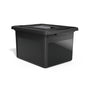 STAPLES File Box Plastic File Box Snap, Letter/Legal Size, Black, 2/Pack - color: Black, size: 2 Pack, style: Box (Snap Lid)