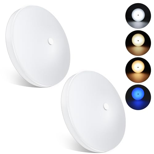 acegoo RV 3CCT 4.5'' LED Ceiling Dome Light, 3000K/4500K/6000K Switchable with Blue Nightlight 12V Puck Light for Motorhome Camper Trailer Boat, Surface Mount w/Dimmer Switch (2 Pcs) - color: 2 Pcs