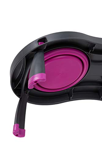 Dexas Pets Double Elevated Pet Feeder, Fuchsia, Large/2.5 Cup Capacity Bowls - color: Fuchsia, size: Large/2.5 Cup Capacity Bowls