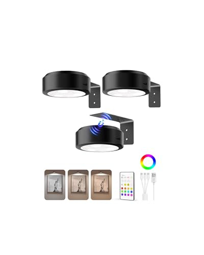 EZVALO Picture Lights for Wall, 2000mAh Rechargeable Battery Magnetic Poster Lights with 3 Color Temps & 12 RGB, Remote Dimmable Timer Painting Light, Wall Decor Light for Art Display, Frame (3 Pack) - color: Black