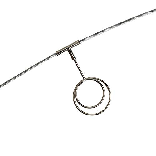 TFu Wall Hanging Photo Display, DIY Picture Photo Frame String with 12 Clips for Hanging Photos Notes and Artworks (Round Shape Clip) - size: Round shape clip