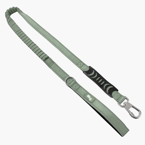 Dog Friendly Co. Bungee Dog Leash | Strain Free & Shock Resistant for Control | Neoprene Padded Handle, Heavy-Duty Carabiner Clip, and D-Ring | Khaki, Size Regular - color: Khaki, size: Regular