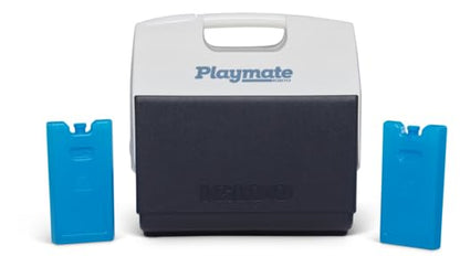 Igloo Maxcold Ice Block - color: 2PK Medium