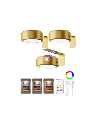 EZVALO Picture Lights for Wall, 2000mAh Rechargeable Battery Magnetic Poster Lights with 3 Color Temps & 12 RGB, Remote Dimmable Timer Painting Light, Wall Decor Light for Art Display, Frame (3 Pack) - color: Gold