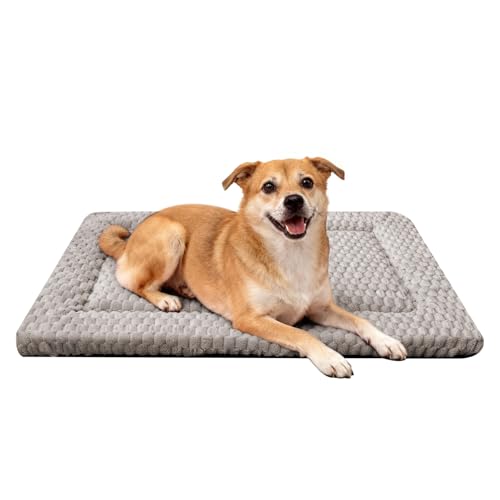 Dog Bed Mat - Dog Crate Pad - Reversible Mat for Pet Comfort - Soft Bed Crate Pads for All Seasons - Durable, Machine Washable Mat for Crates, Travel, and Home (Light Gray, 30" L*20" W*1.5" Th) - color: Light Gray, size: 30"L*20"W*1.5"Th