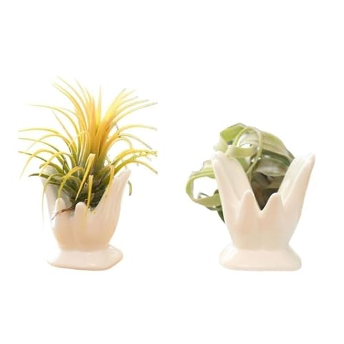 Air Plant Holder Cute Ceramic Mini Hand Shape Stand Airplants Tillandsia Small Container Pot Plant Decorative Home Decor for Desk Table Shelf Office Decorations, White - color: White 1pc