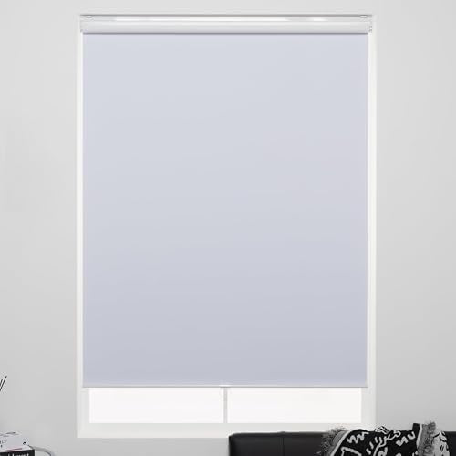 Cordless Roller Shades 100% Blackout Blinds for Windows and Doors, Pull Down Room Darkening Window Shades, Easy to Install for Home and Office, White, Fixed 75 Inches High, 55 Inches Width - color: White, size: 55"W x 75"H