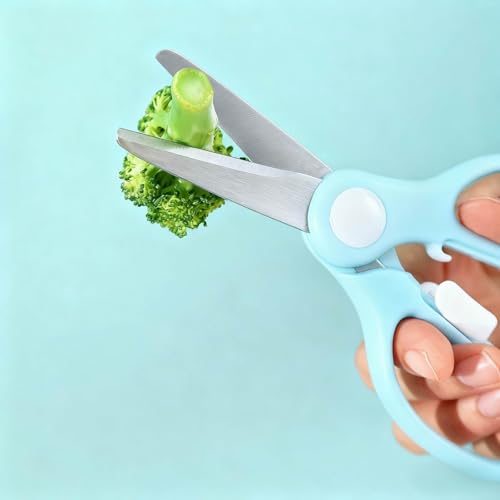 Versatile Stainless Steel Kitchen Scissors with Storage Box - Multi-Purpose Food Shears for Meat, Vegetables & Noodles (Blue) - color: Blue