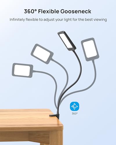 TROND LED Desk Lamp with Clamp, 1000LM Super Bright 3-Level Dimmable Desk Light 6000K Daylight, Extra-Long Flexible Gooseneck Clip on Light, Eye-Care Clamp Lamp for Painting, Workbench,Reading - style: Type B Clip Lamp