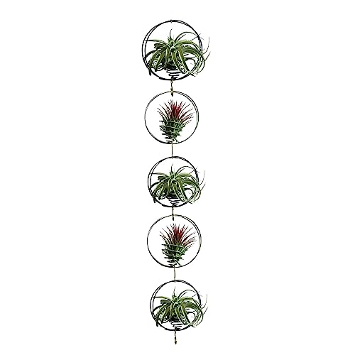 Air Plant Hanging Holder Planter - Plant Hanger Display Frame DIY Kit Aluminum Wire Indoors Outdoors Plants Not Included (Black) - color: Black