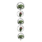 Air Plant Hanging Holder Planter - Plant Hanger Display Frame DIY Kit Aluminum Wire Indoors Outdoors Plants Not Included (Black) - color: Black