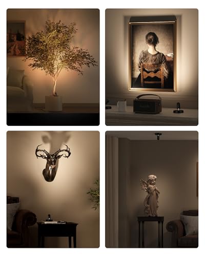 EZVALO Spotlights Indoor with Remote, 5500mAh Rechargeable Picture Lights, Wireless LED Uplighting with Timer & Dimmable, 3-CCT, Mini Plant Spot Lights for Painting, Artwork (4-Pack-Black) - color: Black