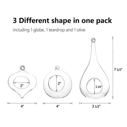 Mkono 3 Pack Glass Hanging Planter Air Fern Holder Terrarium Plants Hanger Vase, Home Christmas Decoration Gifts for Plant Lovers, Succulent Moss Tillandsias Air Plants Globe (Plant Not Included)