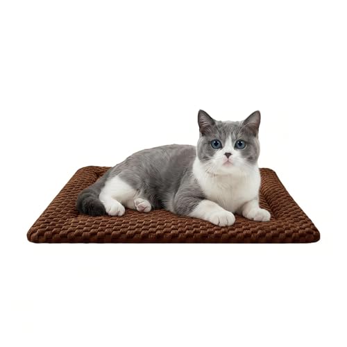 Dog Bed Mat, Dual-Sided Dog Crate Bed Mat - Ultra Soft & Machine Washable Kennel Pad for Cats and Extra Small Dogs, All-Season Comfort Pet Bed for Crates, Travel, and Home, Brown, 18 x 14 Inch - color: Brown, size: Extra Small 18 x 14 x 1.5 in
