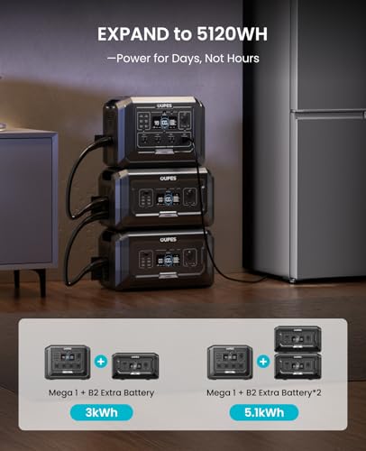 OUPES 2000W Solar Generator with Panels Included, 36Min Fast Charge, 1024Wh LiFePO4 Portable Power Station w/ 100W Panel, for Camping Road Trips Picnics Home Backup Emergency - style: Mega 1+100W Panel