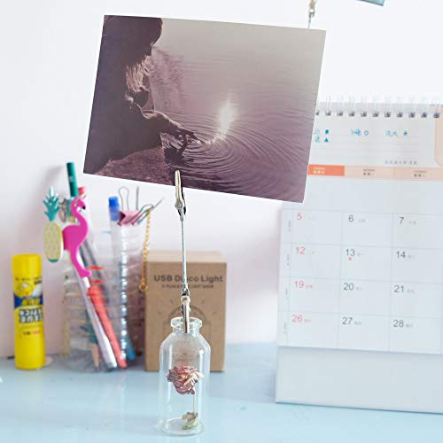TFu Wall Hanging Photo Display, DIY Picture Photo Frame String with 12 Clips for Hanging Photos Notes and Artworks (Adjustable Alligatory Clip) - size: Adjustable Alligatory Clip