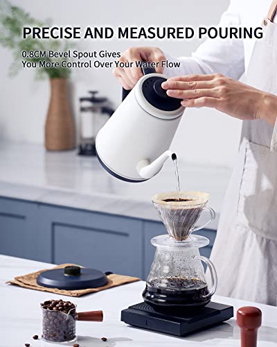 DmofwHi Gooseneck Electric Kettle(1.0L),1000W Electric Tea Kettle of 304 Stainless Steel,Auto Shut off,Coffee Kettle for Pour Over and Tea -White - color: WHITE
