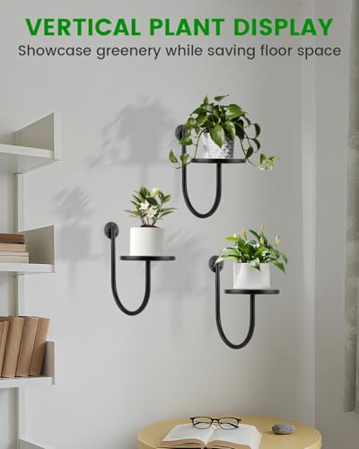 Wall Planters for Indoor Plants, Mounted Holder Shelf, Metal Plant Wall Hanger, Decorative Plant Shelf for Indoor Wall Decor (3 Pack)