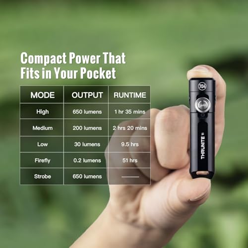 ThruNite Ti Keychain Flashlight, USB-C Rechargeable EDC Pocket Light, 650 Lumens with Magnetic Tailcap, 5 Modes, IPX-6 Waterproof Mini Flashlight for Camping, Everyday Carry (Black) - color: Black Cool White