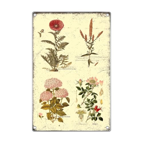Vintage Botanical Flowers Metal Sign Rustic Farmhouse Wall Decor Illustration Home Decoration Plaque 8 x 12 Inch Art Kitchen Outdoor Aluminum Indoor - color: Beauty