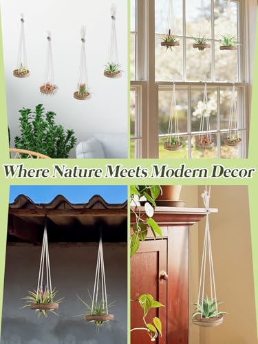 6 Pcs Hanging Wooden Air Plant Holder - 3" Round Airplants Live Hanger with Ropes, Rustic Tillandsia Succulent Display Container Stand for Home Office Decor Housewarming Gift (Excluding Plants)