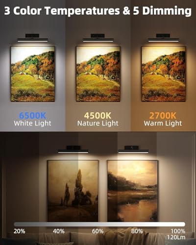EZVALO 13 Inch Wireless Picture Lights, 4000mAh Rechargeable Battery RGB Colors Lights with Remote, Dimmable 3 Color Temps LED Painting Lights for Living Room, Bedroom (Black, 2Pack) - color: RGB Black