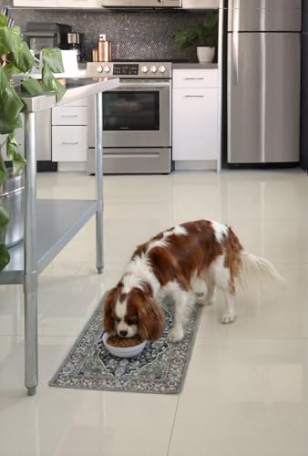 Lovewag Pets Waterproof 2-Pack Pet Feeding Mats - 16" x 24" Premium Cat & Dog Food Mat - Non-Slip, Machine Washable Mat Protects Floors & Contains Water Bowl Spills - Place Mats (Rustic Terracotta) - color: Rustic Terracotta