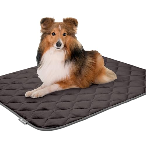 Paw Inspired Washable Padded Crate Mats for Dogs | 41” x 28” Pad, Fits 42-inch Kennels | Leakproof, Waterproof Bottom, Plush Pet Beds (Gray) - color: Gray, size: 42 Inch