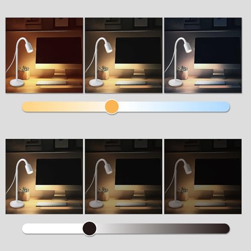 DAMI Dimmable LED Desk Lamp USB Powered, 3 Color Modes Flexible Gooseneck Reading Light, Eye-Caring Small Table Lamp for Home Office Study Bedroom Dorm Bedside - White - color: White