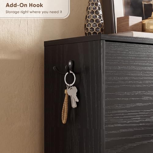 Nicetree Shoe Cabinet with 2 Flip Drawers, Narrow Shoe Organizer Cabinet, Freestanding Shoe Rack Cabinet, Modern Shoe Storage Cabinet for Entryway, Hallway, Foyer, Black - color: Black, style: 2-Drawers