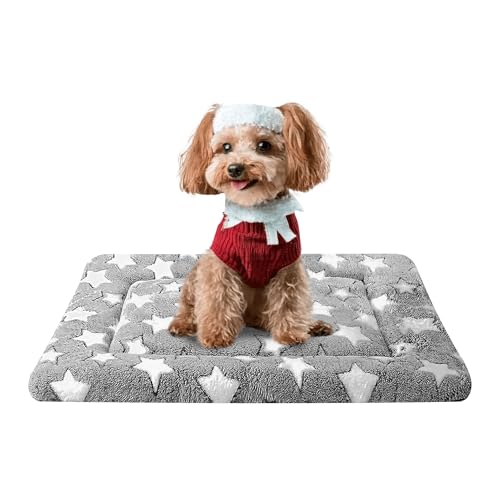 Dog Bed Mat, Reversible Crate Pad & Cute Dog Bed - Machine Washable Kennel Mat with Ultra Soft for Small Dogs (Cool/Warm), 24" x 18", Grey&Star - color: Grey&Star, size: 24"L*18"W*1.5"Th