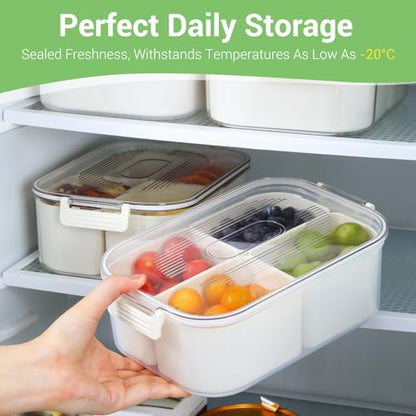LUXEAR Small Snack Box Container 2 Pack, Dishwasher Safe&Freezer Safe Leak-Proof 4 Compartment Serving Tray with Lid, BPA-Free Divided Lunch Tray for Fruits, Candy, Charcuterie, Travel & Meal Prep | Portable Mini Snack Container with Lid, Clear Divided Tr