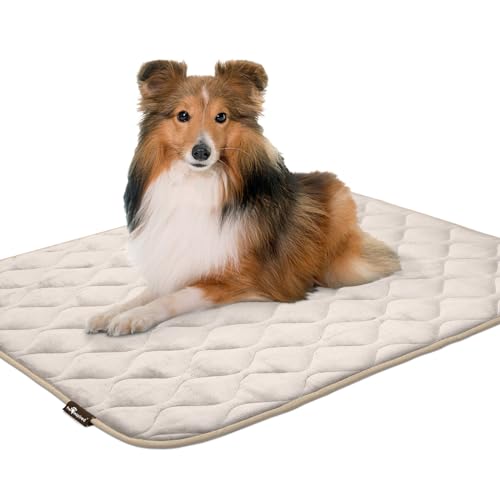 Paw Inspired Washable Padded Crate Mats for Dogs | 41” x 28” Pad, Fits 42-inch Kennels | Leakproof, Waterproof Bottom, Plush Pet Beds (Tan) - color: Tan, size: 42 Inch