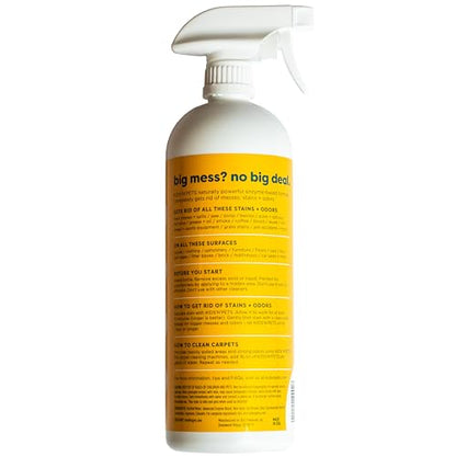 KIDS 'N' PETS Instant All-Purpose Stain & Odor Remover Permanently Eliminates Dog Pee, Cat Urine, Other Smells, Spots from Home Carpet, Couch, Furniture, Mattress, Fabric. Non-Toxic, Child Safe - 27oz - style: 27.05 fl oz