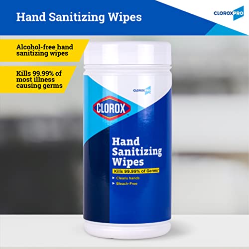 Clorox Pro Alcohol Free Hand Sanitizer Wipes with BZK, Gentle Bleach-Free Sanitizing Wipes for Hands - 0.13% BZK Formula, FDA Registered, Resealable Canister, 100 Count - size: 100 Count (Pack of 1)