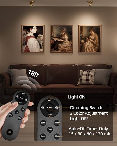 EZVALO LED Spotlight Indoor, 5500mAh Rechargeable Battery-Powered Picture Lights, Wireless Mini Art Accent Spot Lights with Remote, for Plants, Display, Painting, Artwork (4-Pack-Gold) - color: Gold
