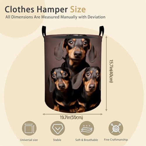 Dachshund Laundry Basket Hamper for Boys Girls Kids Adults, Foldable Waterproof Oxford Clothes Storage Bin, Dog Organizer for Bedroom Bathroom Room Decor 19.7"x15.8" - style: Dachshund