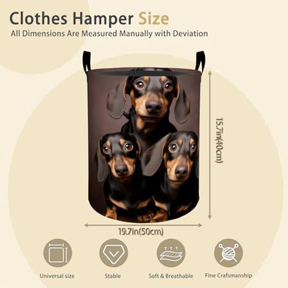 Dachshund Laundry Basket Hamper for Boys Girls Kids Adults, Foldable Waterproof Oxford Clothes Storage Bin, Dog Organizer for Bedroom Bathroom Room Decor 19.7"x15.8" - style: Dachshund