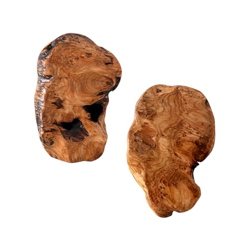 JOLLYMER 2-Pack Cedar Wood Live Edge Wall Vases – Natural Edge Hanging Flower Vase, Organic Root Carved, Rustic Home Décor, Handcrafted Wall Mounted Wooden Vase (Flowers Not Included)