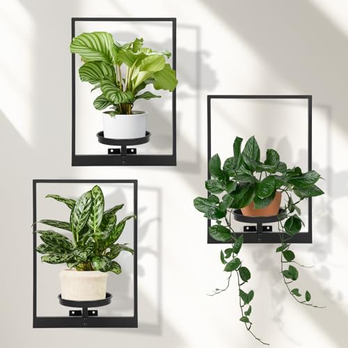 Wall Planters for Indoor Plants, Window Plant Shelves Set of 3, Wall Plant Stand to Hold Large Pots - Premium Metal Hanging Plant Holder for Indoor Outdoor Decor - size: 3-Pack