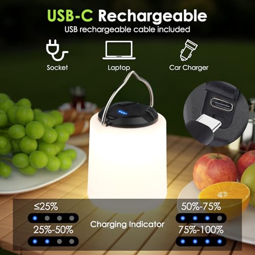 BOBKID LED Camping Lantern, Rechargeable Camping Light, 4 Modes Outdoor Flashlights Lanterns with 1000LM, Water Resistant Portable Emergency Camp Light for Hurricane Hiking Survival Kits - Black - color: Black