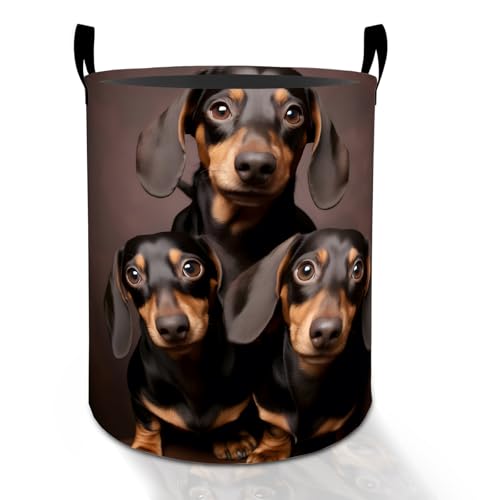 Dachshund Laundry Basket Hamper for Boys Girls Kids Adults, Foldable Waterproof Oxford Clothes Storage Bin, Dog Organizer for Bedroom Bathroom Room Decor 19.7"x15.8" - style: Dachshund