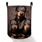 Dachshund Laundry Basket Hamper for Boys Girls Kids Adults, Foldable Waterproof Oxford Clothes Storage Bin, Dog Organizer for Bedroom Bathroom Room Decor 19.7"x15.8" - style: Dachshund