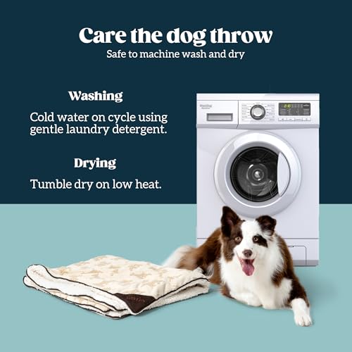 PELZIN Embossed Sherpa Dog Blankets for Small Dogs - Waterproof Cat Blankets for Indoor Cats - Heavy Duty Couch Cover Protector - Soft Reversible Throw Furniture Protection - Small, Cream - size: S - 25"x35"