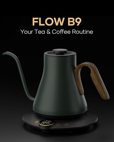 Cocinare Gooseneck Electric Kettle, ±1°F Precise Temperature Control, 1500W Fast Heating, Pour Over Coffee & Tea Kettle with Brew Timer & Keep Warm, Stainless Steel, 0.9L (Delacroix Green) - color: Delacroix Green