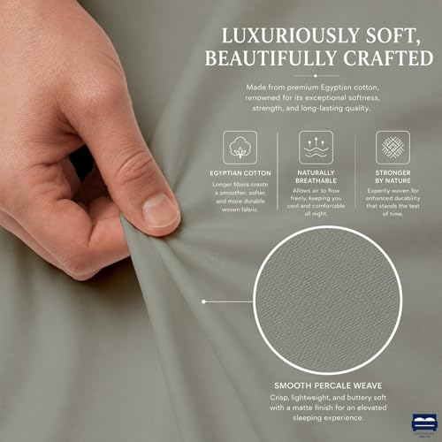 Cottingon 4 Piece Queen Sheets, 100% Extra Long Staple Premium Egyptian Cotton, Soft Camper Queen Bed Sheet Set, Fits Upto 16" Deep Mattress 60"X80", Light Grey - color: Light Grey Solid, size: Queen
