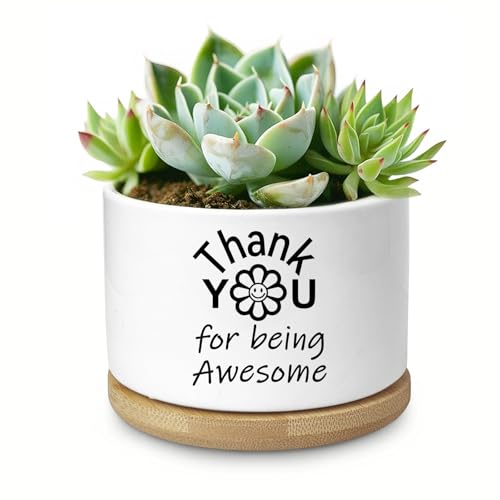 Thank You Gifts for Women, Succulent Planter, Flower Cactus Plant Pot, Employee Appreciation Gifts for Coworkers Nurse Friends Women, Thank You for Being Awesome (No Plants) - color: Thank You Awesome