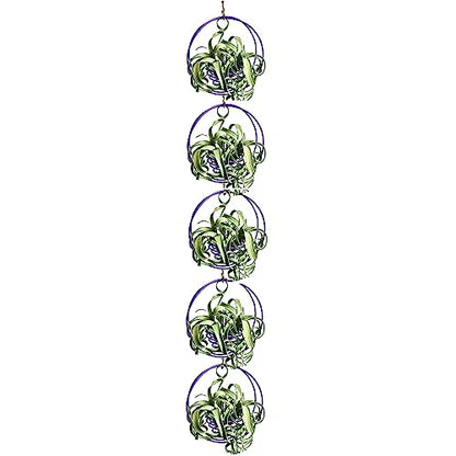 Air Plant Hanging Holder Planter - Plant Hanger Display Frame DIY Kit Aluminum Wire Indoors Outdoors Plants Not Included (Purple) - color: Purple