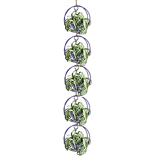 Air Plant Hanging Holder Planter - Plant Hanger Display Frame DIY Kit Aluminum Wire Indoors Outdoors Plants Not Included (Purple) - color: Purple
